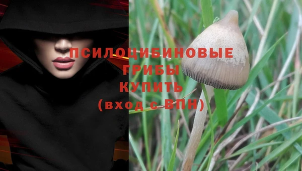 Альфа ПВП Армянск
