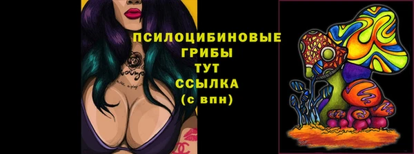 шишки Аркадак