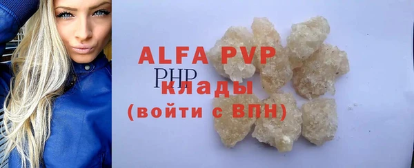 шишки Аркадак