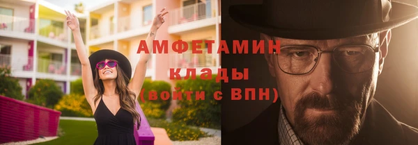 шишки Аркадак