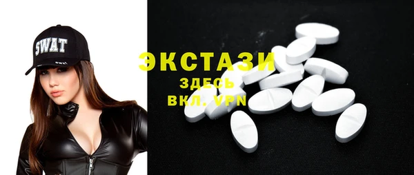 шишки Аркадак