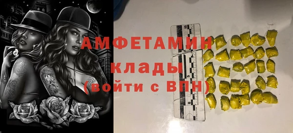 шишки Аркадак