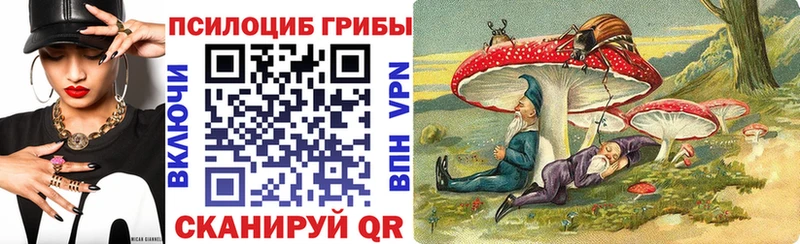Галлюциногенные грибы Magic Shrooms  Волгоград 