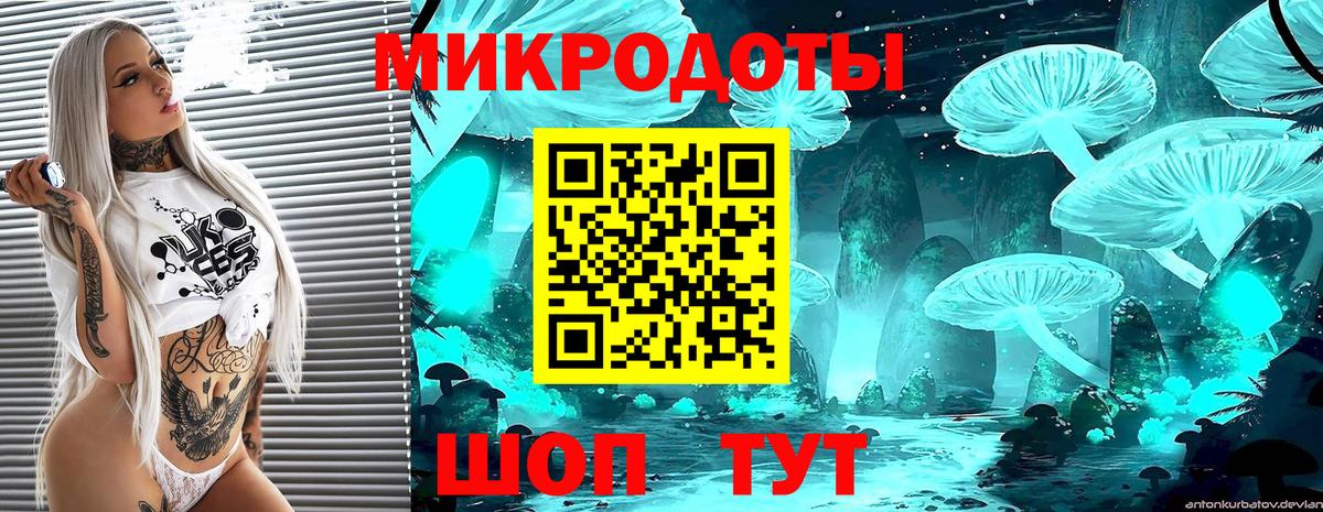 Псилоцибиновые грибы Psilocybine cubensis Волгоград