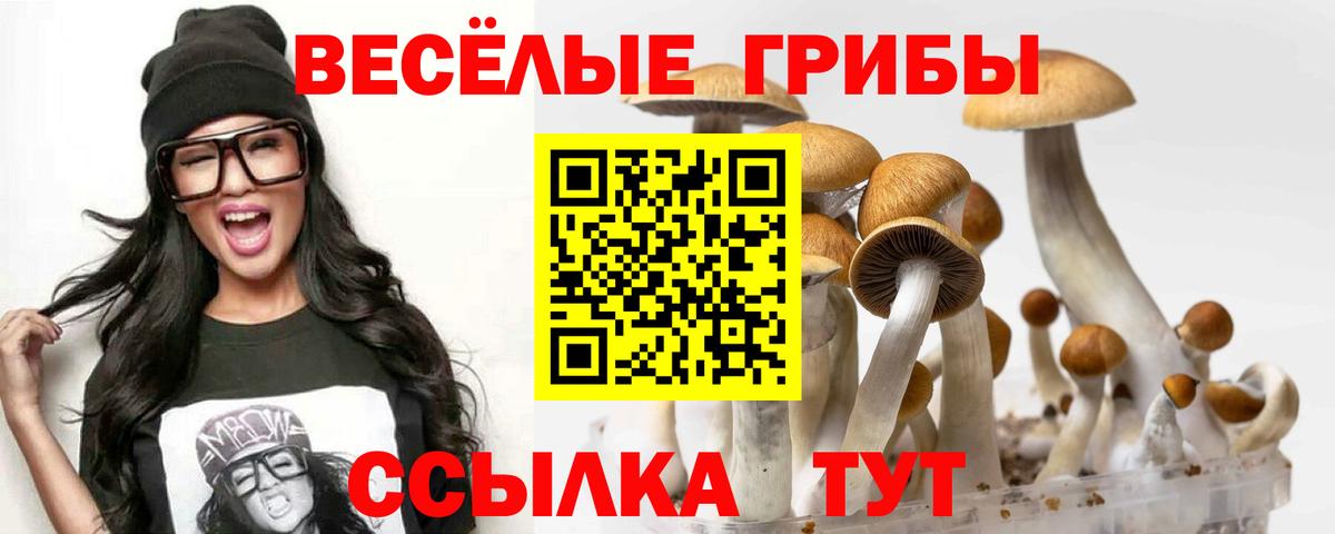 Волгоград  Псилоцибиновые грибы прущие грибы  наркота  Вход с VPN 